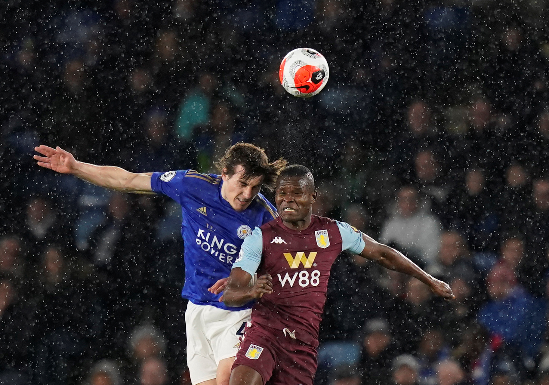 贵的指导 贵的指导